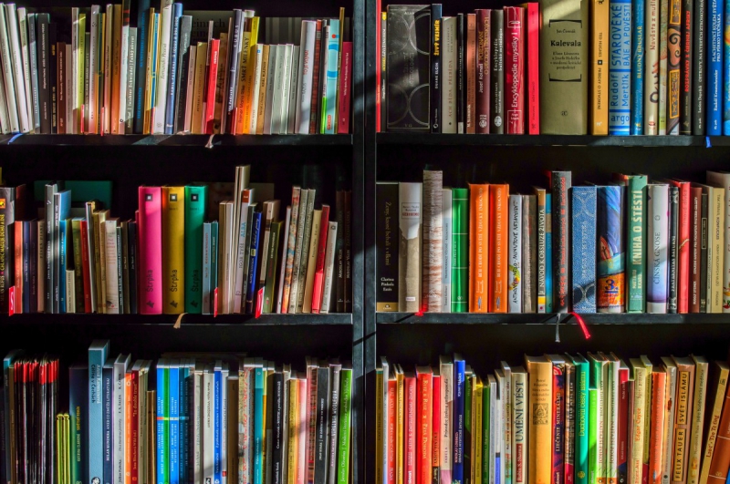 vente-NICE-min_books_bookstore_book_reading_shop_writer_sale_books_read-822866